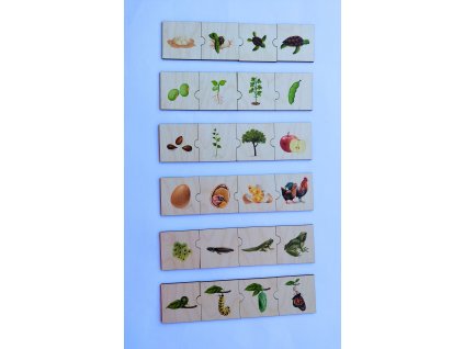 b9330dfc 7443 4c72 a98f d236a96aa704