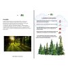 10 tematickych seskupení = E-book plný projektů 1.díl