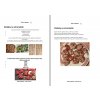 10 tematickych seskupení = E-book plný projektů 1.díl