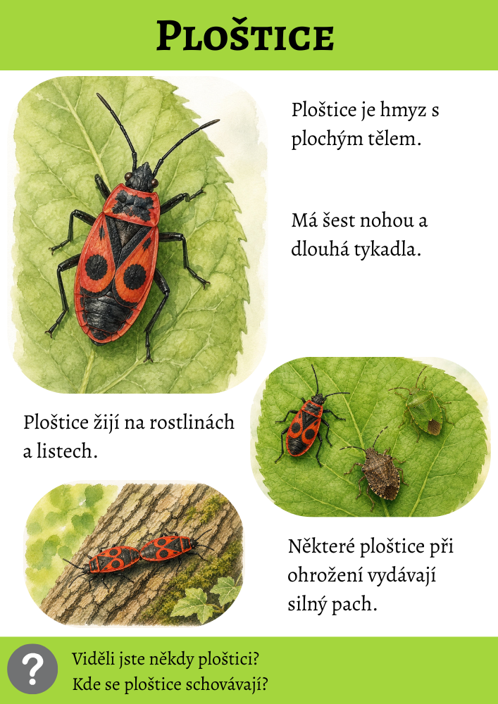 Ploštice - bonusová karta