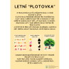 Letní “plotovka”