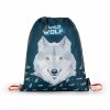 4753 6 skolni set 3ks premium light vlk wild wolf