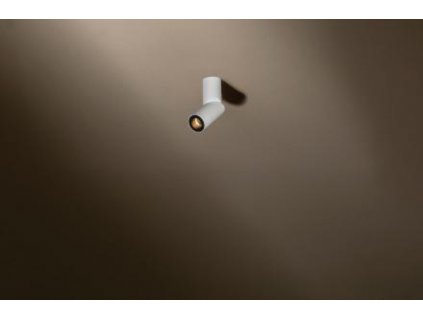 5828 tal stropni svitidlo micro scoop