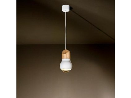 5516 tal zavesna lampa kalebas