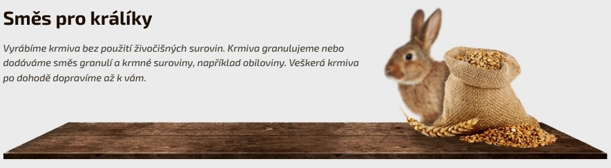 Králík