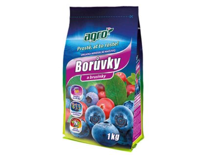 Snímek obrazovky 2024 12 06 095142