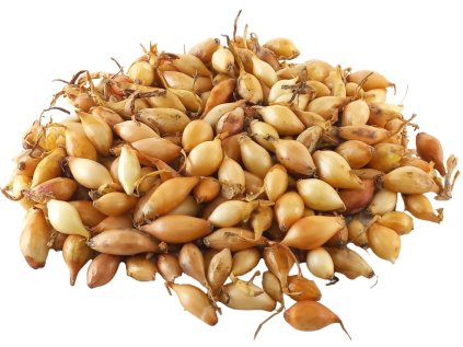 6c6ca69e11ff44a0c6d25bdad4f55ad4270607d8