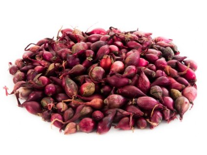 Snímek obrazovky 2026 02 12 214138