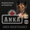 Anka web ikona 2018 Maintenance 1