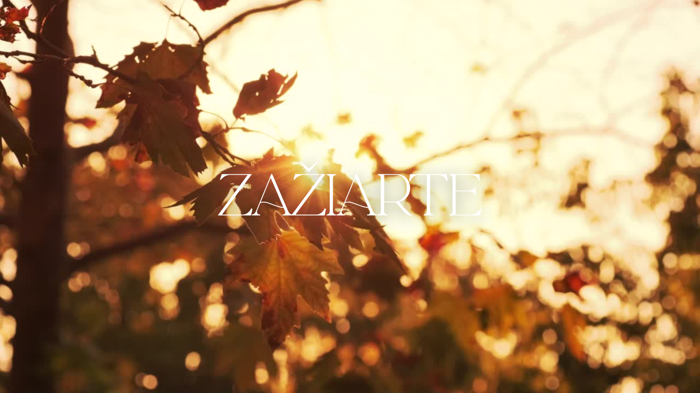 Zažiarte