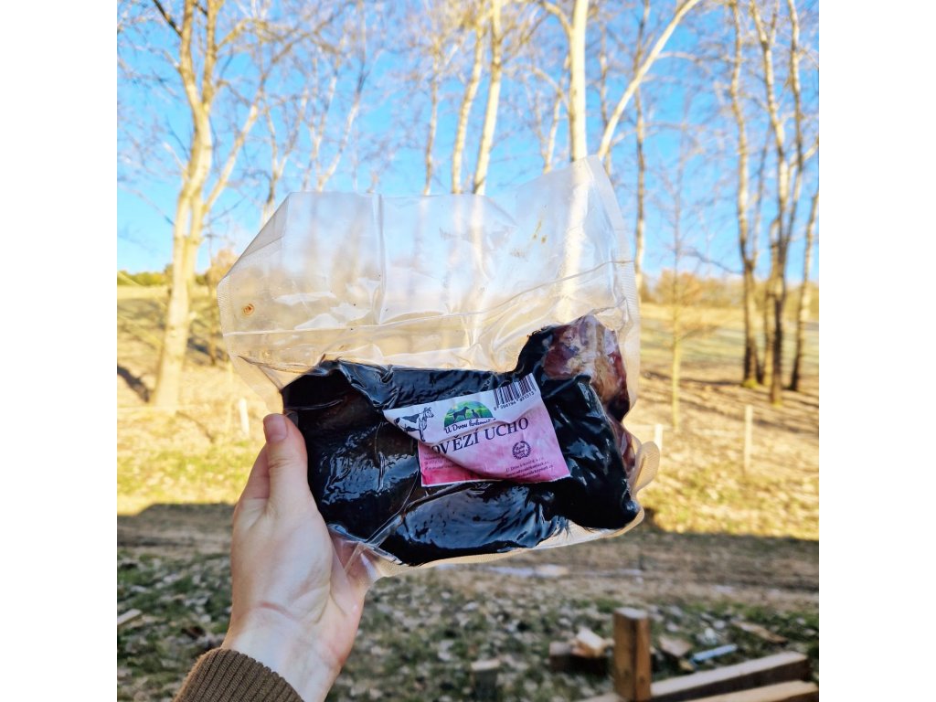 WhatsApp Image 2024 01 12 at 14.02.26 (1)