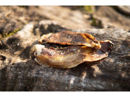 317 susena chrupavka cela 1