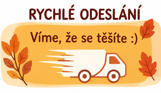 rychlé odeslání
