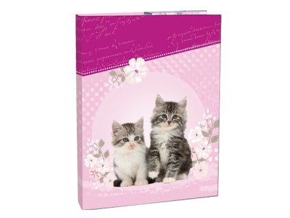 107598 1 box na sesity a4 kitten