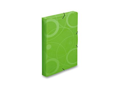 Box na dokumenty A4 "Neo Colori" zelený