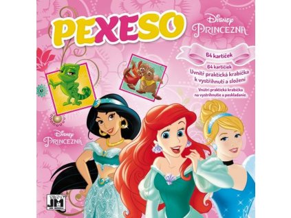 118417 pexeso v sesitu princezny