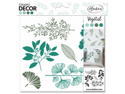 stampodecor rostliny