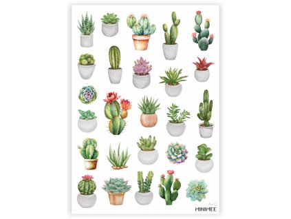 198480 papirove samolepky v arsiku a5 sukulenty