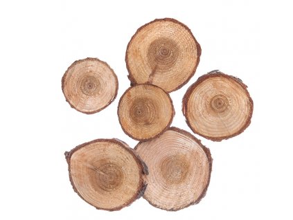 Mini dřevěné plátky jsou perfektním základem pro všechny projekty bytových dekorací, stolní aranžmá, květinové dekorace, mediální projekty, scrapbooking a mnoho dalších.