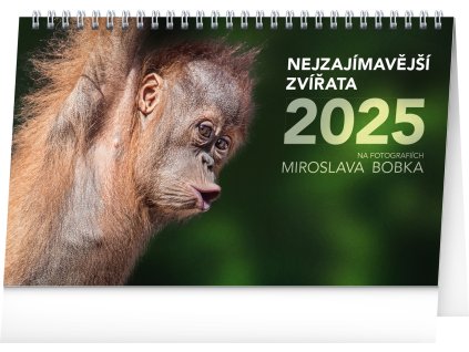 stolni kalendar nejzajimavejsi zvirata 2025 23 1 14 5 cm 179708 43