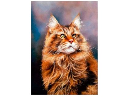 Snímek obrazovky 2024 11 08 223734