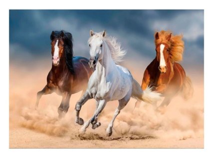 Snímek obrazovky 2024 11 08 224012