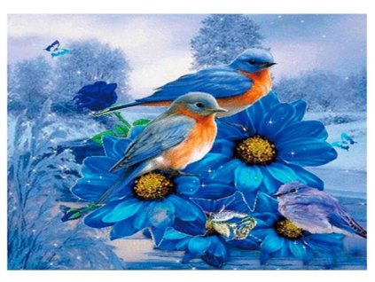 Snímek obrazovky 2024 11 08 224232