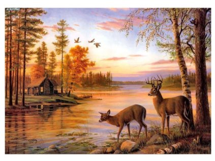 Snímek obrazovky 2024 11 08 224750