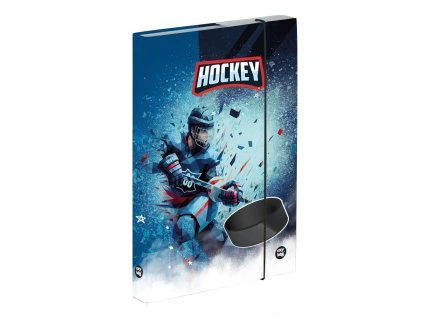 219274 box na sesity a4 hokej