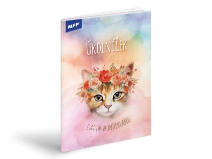 223726 ukolnicek mfp a5 kocka