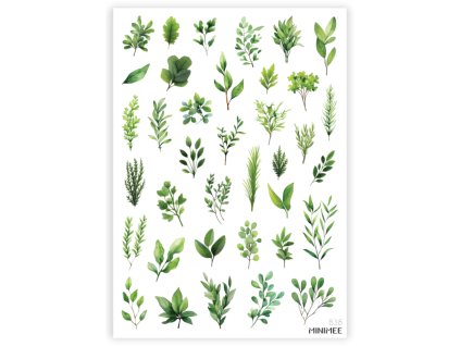 225658 38343e5fa80a4e000555a3a40982b2be b38 zelene listy foto na eshop minimee shadow