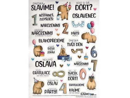 Snímek obrazovky 2026 01 24 192714