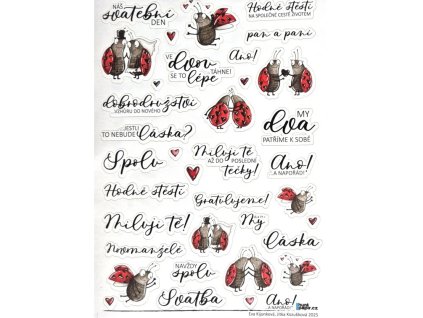 Snímek obrazovky 2026 01 24 190858