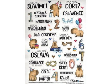 Snímek obrazovky 2026 01 24 190648