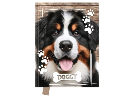 Snímek obrazovky 2025 12 17 231946