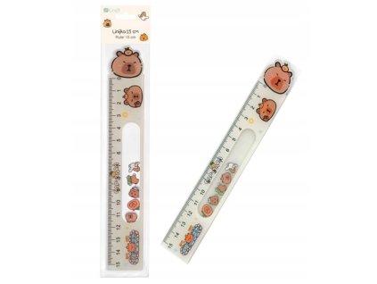 Snímek obrazovky 2026 01 22 181038