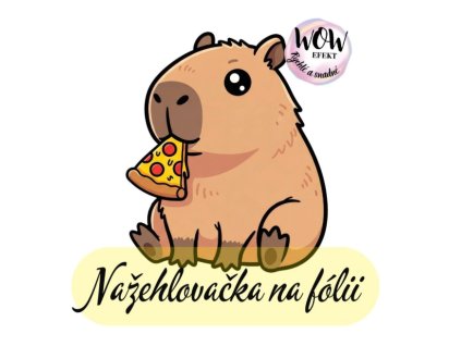 Snímek obrazovky 2026 01 30 223824