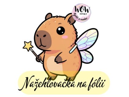 Snímek obrazovky 2026 01 30 224214