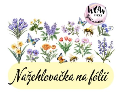 Snímek obrazovky 2026 01 31 174744