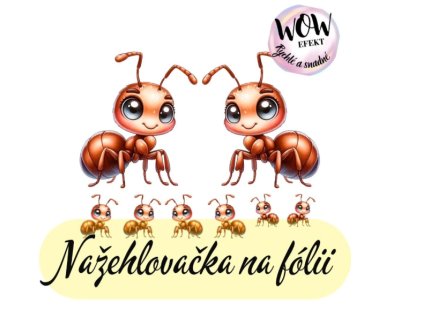 Snímek obrazovky 2026 01 30 223103