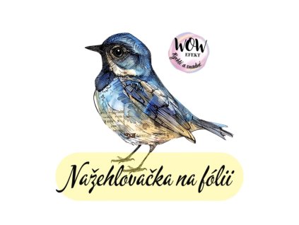 Snímek obrazovky 2026 01 30 222905