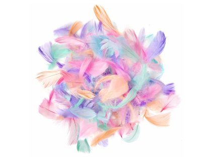 Peříčka barevná pastelová 4-8cm 10g