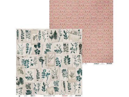 papier naturalist 04 12x12