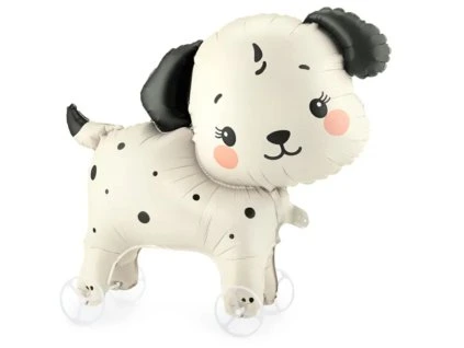 Screenshot 2026 02 28 205957