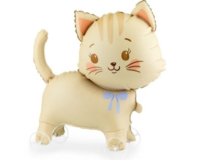 Screenshot 2026 02 28 205413