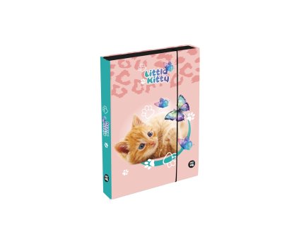 Box na sešity A5 Jumbo Kočka