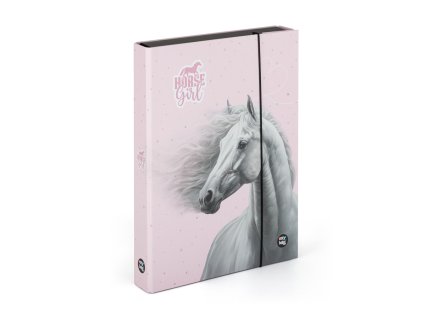 Box na sešity A4 Jumbo kůň romantic