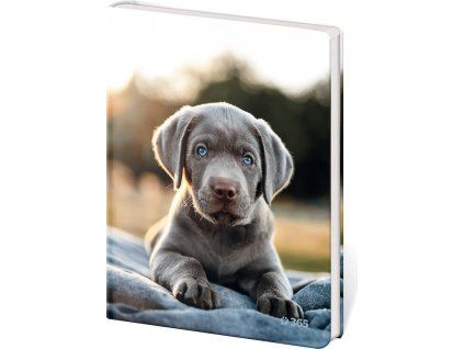 302102 cmk0794 20057565 big