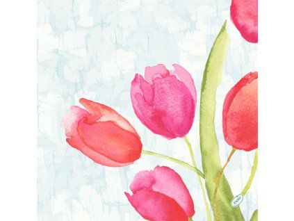 Ubrousky DUNISOFT BIO 40x40cm Painted Tulips 5ks