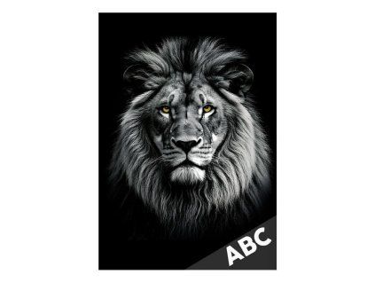310045 310045 desky na abc lev